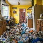 Moving to a Dirty Rental: Navigating Responsibilities and Solutions