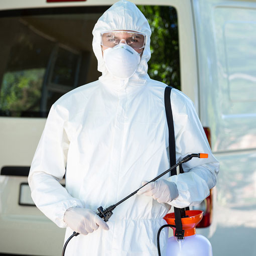 go pest control