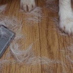 How to Clean Pet Hair: Keep Your Home Fur-Free