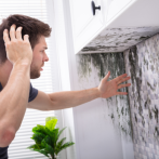 How to Remove Black Mold: A Step-by-Step Approach