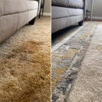 Professional Carpet Cleaning vs DIY What London Homeowners Need to Know